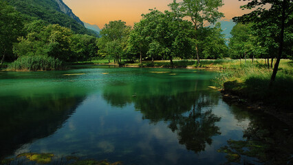 Naklejka premium It's early morning on the lake in the Green Spring Forest
