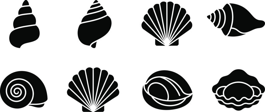 Collection of eight distinct seashell vector graphics in black