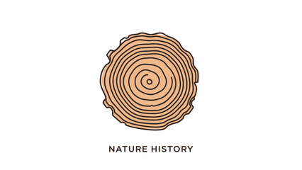 Fototapeta premium Tree Stump Cross Section Rings Illustration.