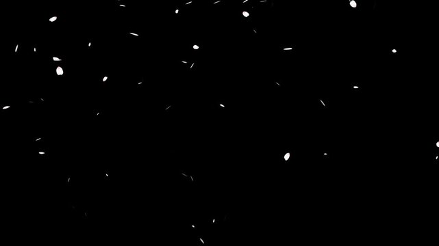 Pink cherry blossom petals falling from top animation on transparent background for overlay. Alpha channel included.