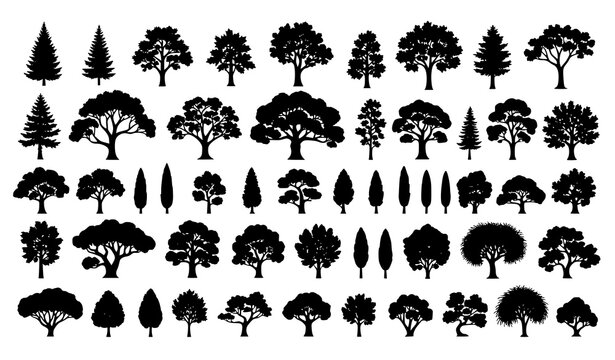 Collection of 30 diverse tree silhouettes with evergreen and deciduous forest trees isolated vector set