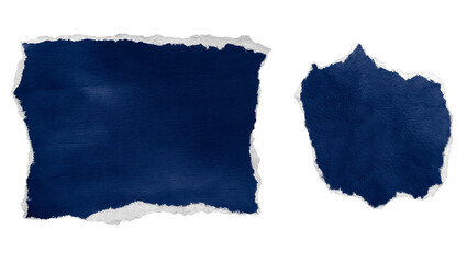 Two abstract shapes of deep blue color with a rough, uneven texture