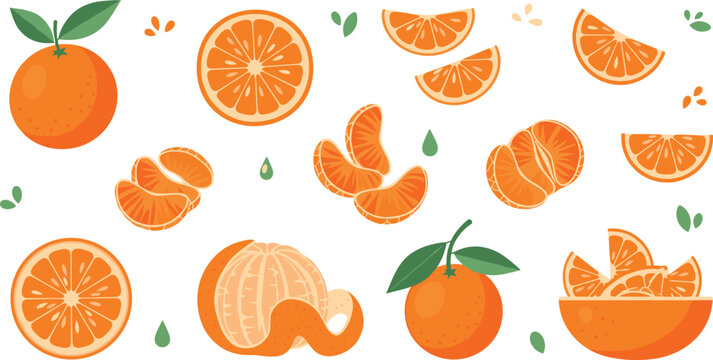 Fresh orange citrus fruit collection with whole oranges slices segments peeled fruit and leaves healthy food flat vector illustration set