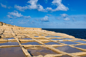 Solniska na północy Gozo 2026 © Krzysiek Cegiełka