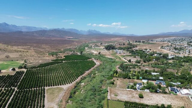 Camera panning left to right over fruit tree orchards and the town of Clanwilliam, and the main road with mountains on the horizon. The town is Famous for Rooibos tea and fruit. 4K Aerial Video.