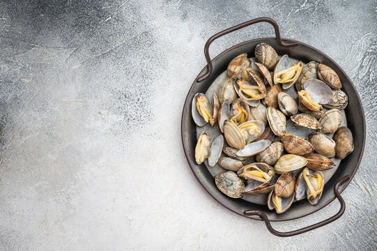 Italian vongole clams arranged in rustic metal pan. Fresh seafood dish with shells on light background, top view.