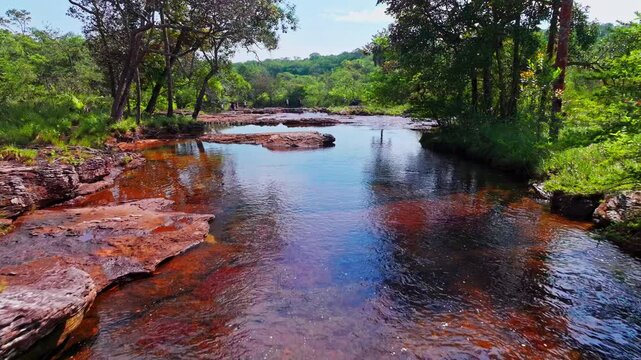 Drone footage over Ca&ntilde;o Sabana in Colombia shows a colorful river landscape flowing through dense tropical vegetation in the remote Guaviare region.