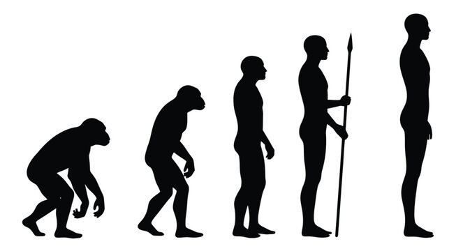 The evolution of humans from ape to modern man