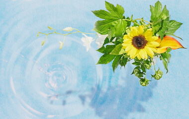 向日葵と水面