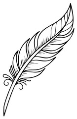 Obraz premium Elegant single quill feather with decorative swirls at the base, hand-drawn sketch style