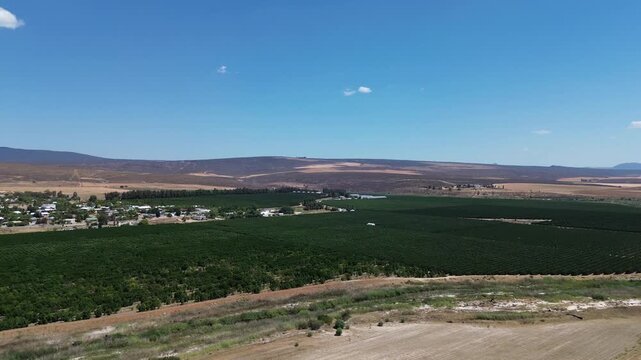 Camera panning right to left over the valley full of fruit tree orchards and the town of Clanwilliam in the valley. Town is Famous for Rooibos tea and fruit. 4K Aerial Video.