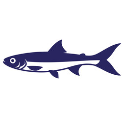 Fototapeta premium blue fish swimming isolated on white background