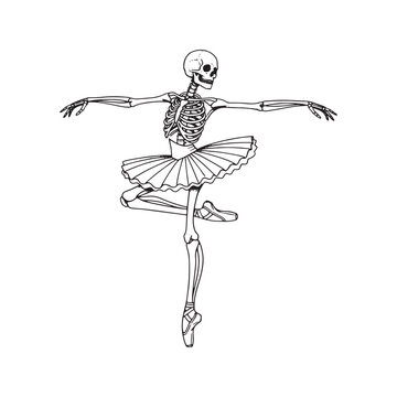 Artistic Skeleton Ballerina Dancing in Tutu Line Art Illustration