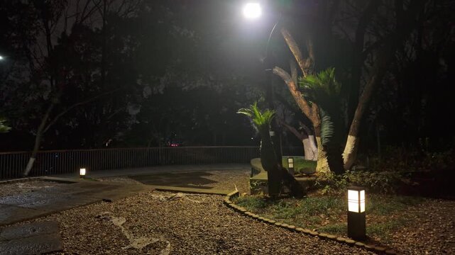 Scene of a park path and street lamps at night