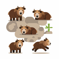 Fototapeta premium Cartoon Golden Takin Group Isolated on White Background