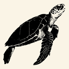 Sea Turtle Vintage Engraving Black White Illustration © Dogma