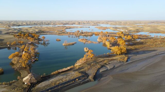 Golden Populus Euphratica Forest and Tarim River at Lop People Village, Yuli, Xinjiang, China