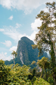 Limestone karst mountain in rainforest at Khao Sok National Park