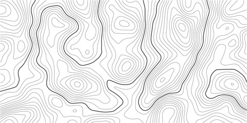 Fototapeta premium The stylized height of the topographic map in contour, lines. The concept of a conditional geography scheme and the terrain path.