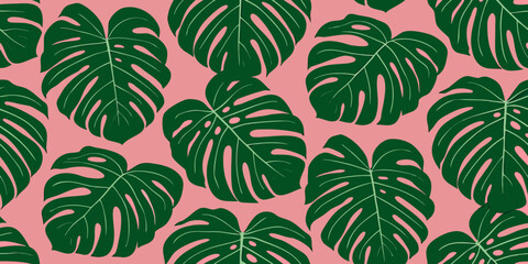 Seamless pattern of vibrant green monstera leaves on a pink background © Tapan