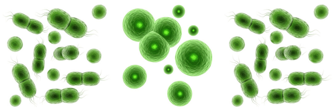 Set of green bacteria and virus cells under microscope isolated on white background, 3D illustration of probiotics, infection and microbiology concept.