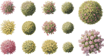 Collection of colorful top view trees and bushes vector set for landscape design, map creation, game assets, garden planning, and architectural site plan illustration © Sawda's World