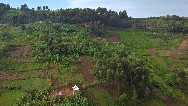 Slow push-in drone shot above hillside farmland, banana plantations and rural housing in Kanungu District, southwestern Uganda near Bwindi Impenetrable National Park.