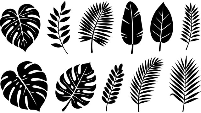Set of 12 tropical leaf silhouettes vector, black botanical foliage icons including monstera, palm fronds and assorted leaves for logo, decor, pattern