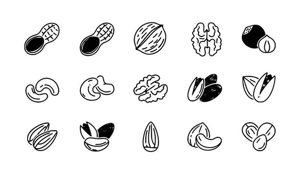Nuts Thin Line Icon Set Peanut Almond Cashew Pistachio Food Vector Collection