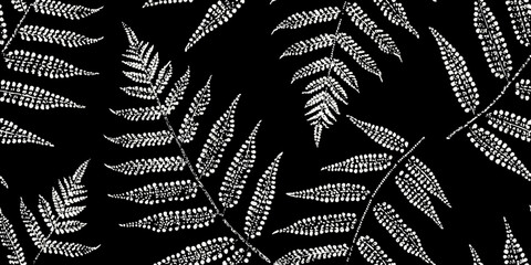 Detailed pattern of silver ferns against a stark black background © Shahabuddin
