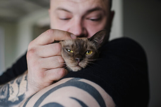 Close-up of tattooed man cuddling Burmese cat