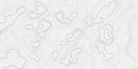 Continuous topographic contour map lines representing mountain landscape Elegant seamless elevation pattern with smooth geographic line flow © ALAMA