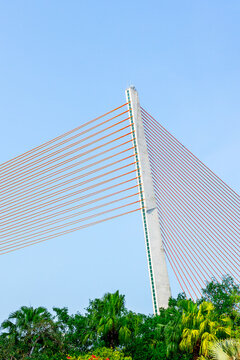 Cable stayed bridge pylon with red cables above tree canopy