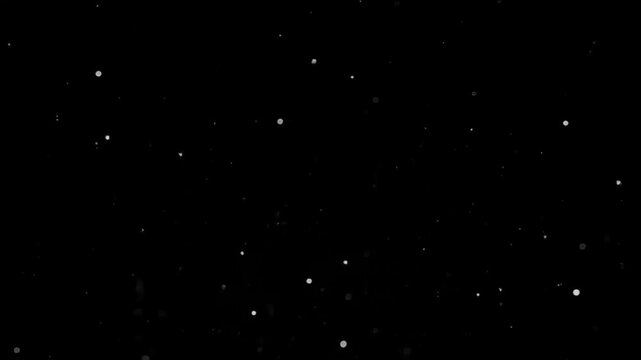 Abstract shimmering white particles floating on a dark black background loop 4k
