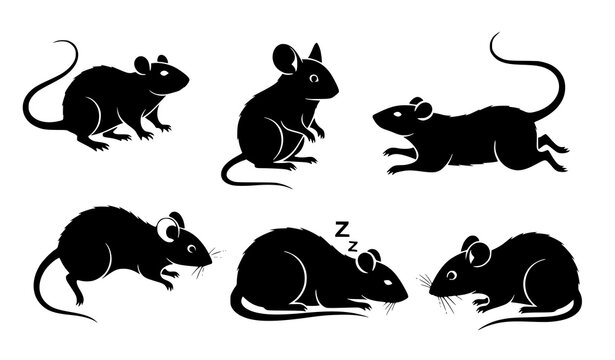 Black rat and mouse silhouette vector set with rodent icon bundle for animals and pets illustration