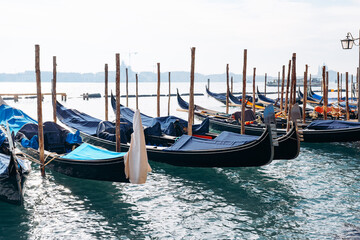 Fototapeta premium Gondolas line the water in Venice during a sunny day with tourists nearby