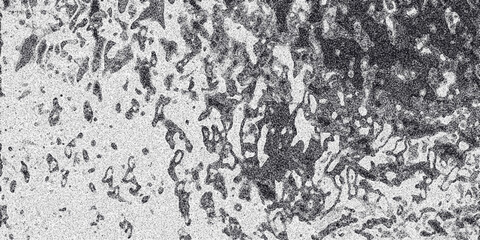 Obraz premium Organic monochrome textured background with irregular blob-like shapes and a speckled grainy effect creating a unique and abstract visual surface for design