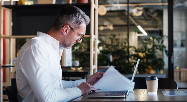 Businessman, accountant and documents with laptop in office for financial planning or audit. Man, accounting or checking finance with paperwork for company expenses or project budget in workplace