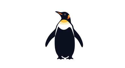Fototapeta premium Majestic king penguin is illustrated with its characteristic orange markings and sleek black feathers on a white background.