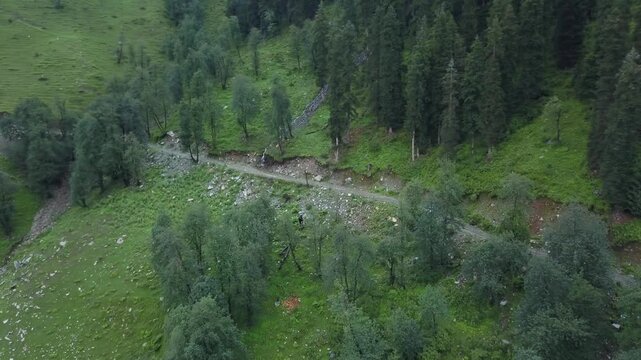 White SUV travels along a narrow dirt road winding through dense forest and rocky terrain in the Himalayan foothills near Trakar Kalaban, Chamba district.