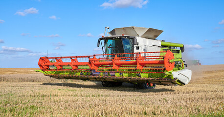 Fototapeta premium Harvester, machine and crops on farm in nature for agriculture, cutting wheat and collection. Blue sky, vehicle and equipment for farming industry, food production and harvest season of plantation