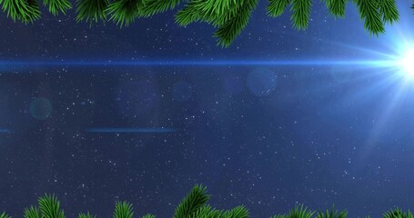 Fototapeta premium Capturing starlit night sky glowing over forest edge, with pine branches, starburst and lens flare