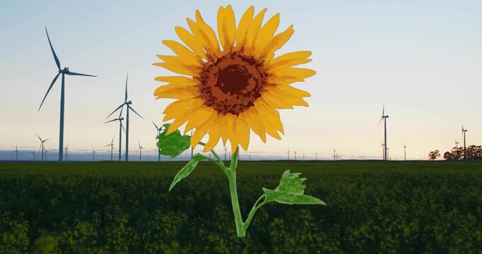 Large sunflower staying centered with breeze spinning turbines and sun lowering creating rim light