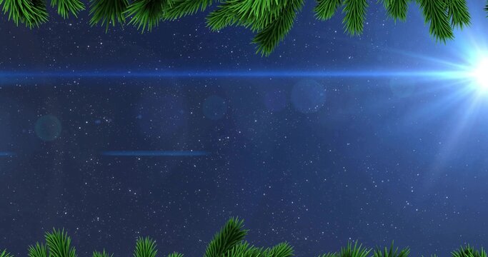 Capturing starlit night sky glowing over forest edge, with pine branches, starburst and lens flare