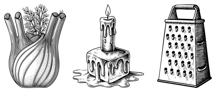 Hand drawn culinary tools and herbs, dill sprig, dripping candle on block, kitchen grater, engraved illustration, black and white vector.