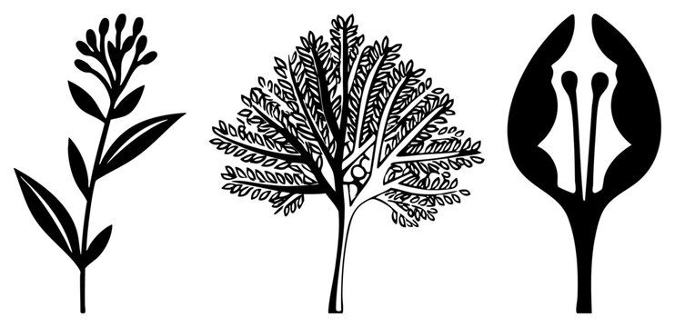 Stylized plant with detailed foliage and abstract blooms, botanical vector art, nature inspired design, black silhouette illustration, minimalist plant graphics.