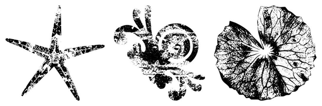 Grunge halftone illustrations of marine life and flora, stylized sea star, octopus, and lotus leaf, vector art with texture, isolated elements, nature motifs.
