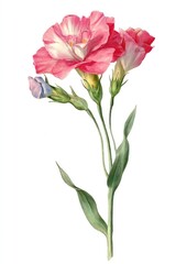 Fototapeta premium Delicate pink floral illustration