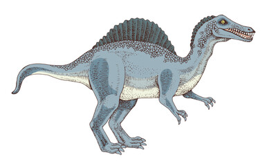 Fototapeta premium Spinosaurus dinosaur hand drawn vector