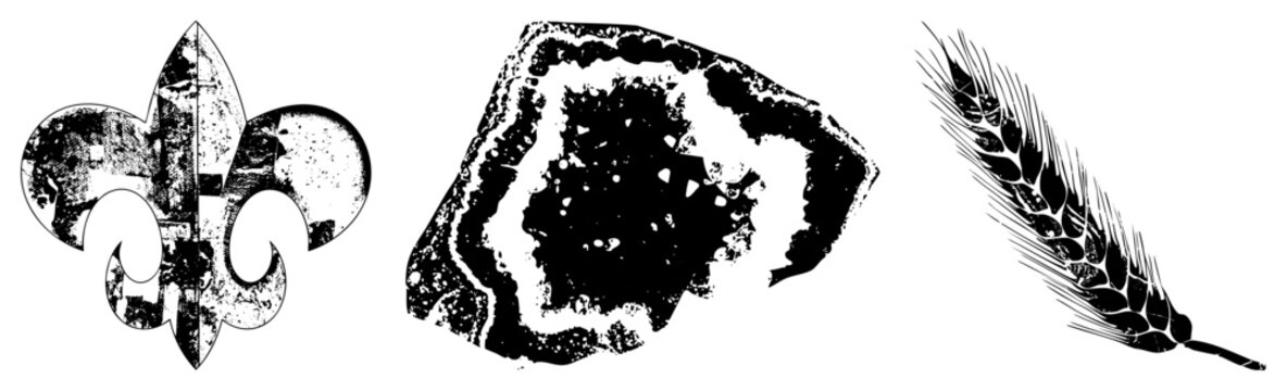 Distressed fleur de lis, natural agate section, wheat stalk silhouette vector with textured grain and stylized form.